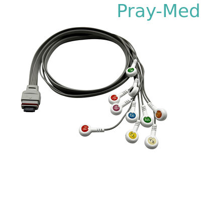 satın al Nihon Kohden Holter EKG Kablosu Kaydedici için 10 kurşun RAC-2512 1m TPU Ceket Çevrimiçi üretim
