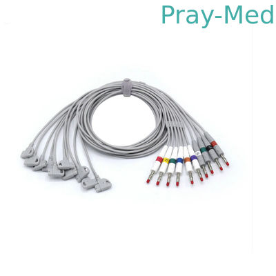 satın al 10 LED EKG EKG Leadwires for Pagewriter Trim 4.0 muz 0.9m 989803129161 Çevrimiçi üretim