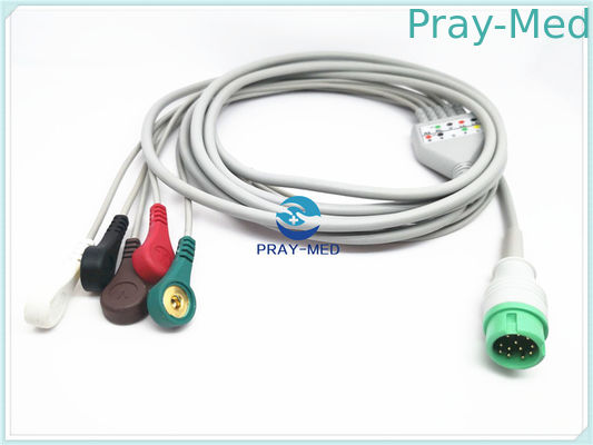 satın al 5 Lead Mindray Ecg Kablosu, Round 12 Pins Yetişkinlere Uygun Ecg Kabloları ve Leadwires Çevrimiçi üretim