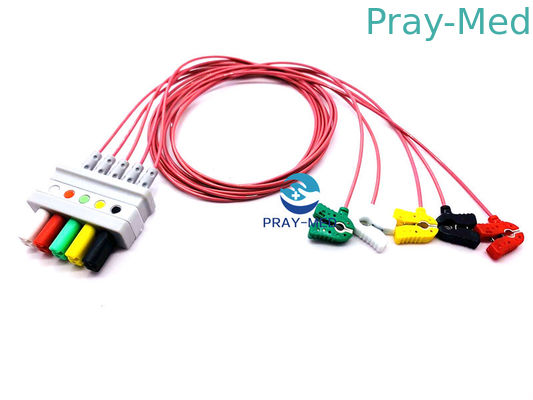 satın al 8 Pin HP 5 Lead Ecg Kablosu, M2406A / M1733a Ecg Gövde Kablosu 3.6m Uzunluk Çevrimiçi üretim