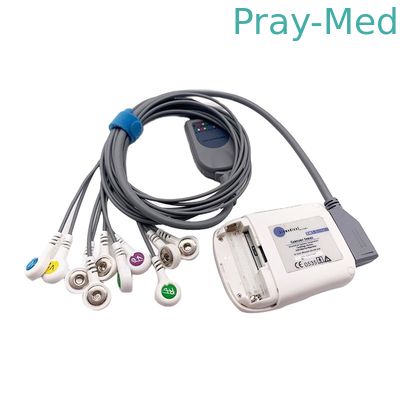 satın al Borsam Holter Ekg Kablosu 10 Kurşun Gri 2m Bs6930 BS6930-3 Uyumlu Çevrimiçi üretim