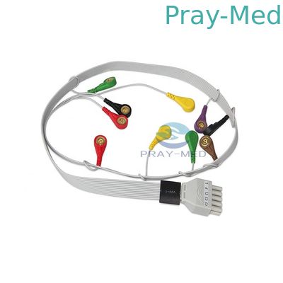 satın al CONTEC Holter EKG kablosu TLC5000 2.8m 10 kurşun TLC5000 Dyniaic için Çevrimiçi üretim