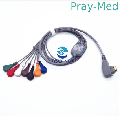 satın al DMS Holter EKG Hasta Kablosu 5/7/10 6 Ay Garanti ile Kurşun 19 Pin Çevrimiçi üretim