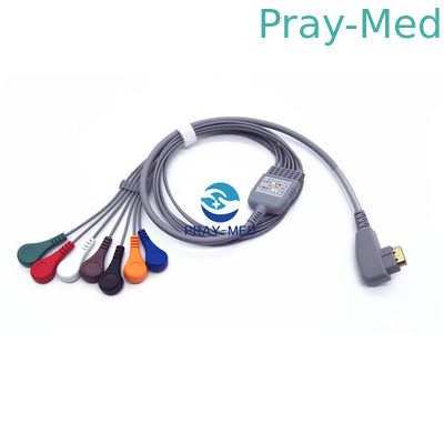 satın al 19 Pin Snap EKG Hasta Kablosu 5/10 Kurşun DMS 300 Sistem Holter Uyumlu Hasta Güvenliği Çevrimiçi üretim