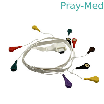 10 Öndeki hasta EKG Holter Kablosu Mortara T12 10PIN